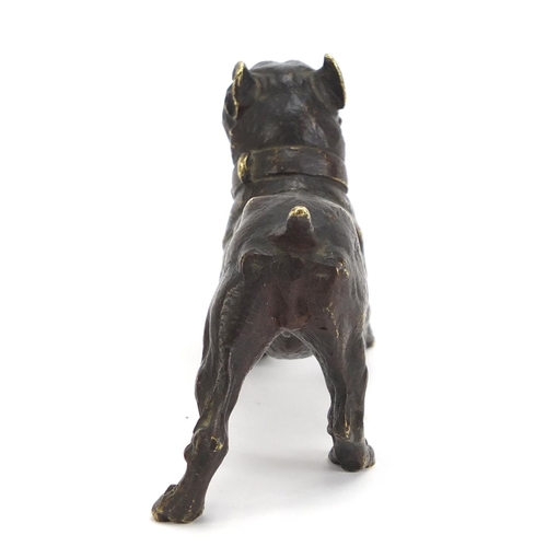 494 - Patinated bronze Bullmastiff, 11cm in length