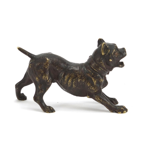 494 - Patinated bronze Bullmastiff, 11cm in length