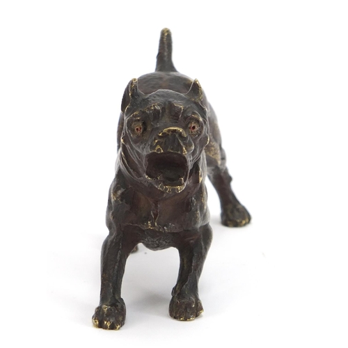 494 - Patinated bronze Bullmastiff, 11cm in length