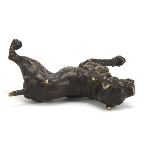 494 - Patinated bronze Bullmastiff, 11cm in length