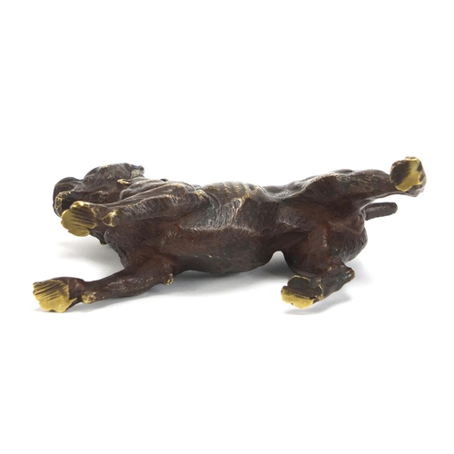 494 - Patinated bronze Bullmastiff, 11cm in length