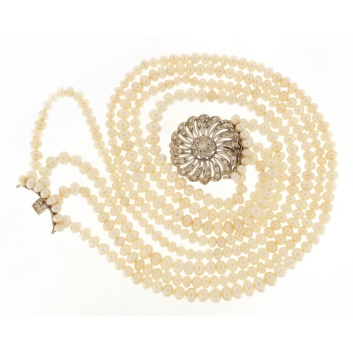 238 - Four row pearl necklace with a large unmarked white metal diamond set clasp, 40cm in length, the cla... 