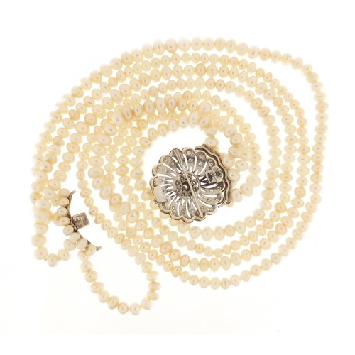 238 - Four row pearl necklace with a large unmarked white metal diamond set clasp, 40cm in length, the cla... 