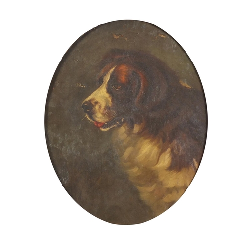 102 - St Bernard dog, 19th century oval oil on canvas, framed, 49cm x 39cm