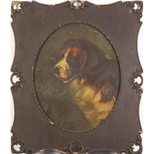 102 - St Bernard dog, 19th century oval oil on canvas, framed, 49cm x 39cm