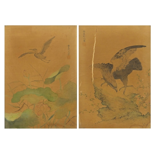 68 - Pair of Chinese watercolour's on silks depicting birds of paradise, each with calligraphy and signed... 