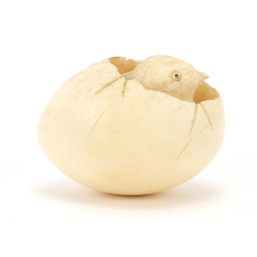 75 - Japanese Shibayama carved ivory chick hatching from an egg, inlaid with insects, 5cm wide