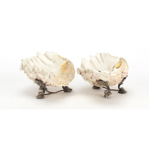 664 - Pair 19th of century silver plated shell salts, each 14cm wide