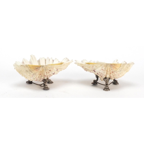 664 - Pair 19th of century silver plated shell salts, each 14cm wide
