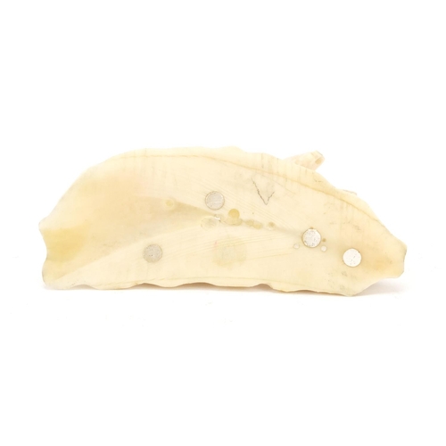 501 - Early 19th century marine ivory carving of a polar bear, 14cm wide