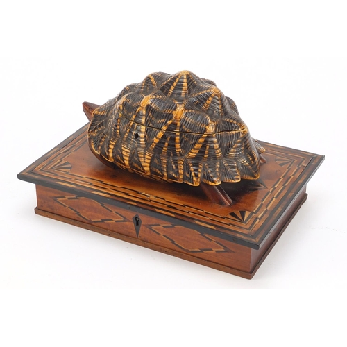 170 - Anglo Indian star tortoise tea caddy work box with ebony, fruitwood and exotic inlay, the rectangula... 