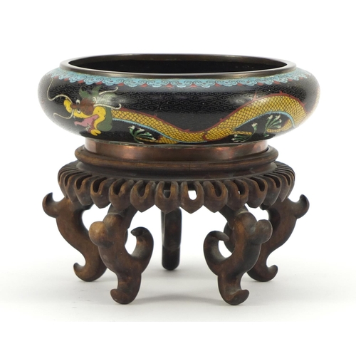 151 - Chinese cloisonné squatted bowl raised on carved hardwood stand, enamelled with dragons chasing a fl... 