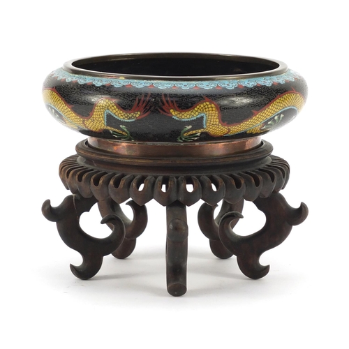 151 - Chinese cloisonné squatted bowl raised on carved hardwood stand, enamelled with dragons chasing a fl... 