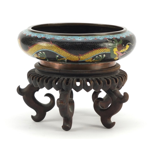 151 - Chinese cloisonné squatted bowl raised on carved hardwood stand, enamelled with dragons chasing a fl... 