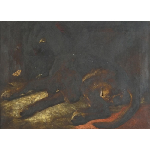 1551 - Sleeping dog, 19th century oil on canvas, mounted and framed, 67.5cm x 48cm