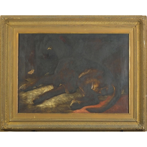 1551 - Sleeping dog, 19th century oil on canvas, mounted and framed, 67.5cm x 48cm