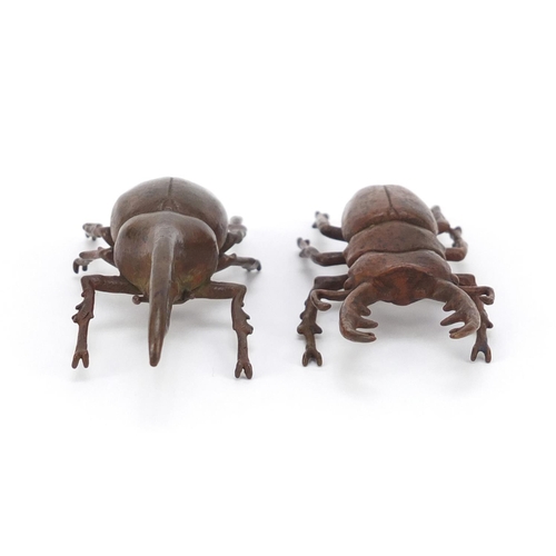 377 - Japanese patinated bronze Hercules beetle and stag beetle, each with impressed character marks to th... 