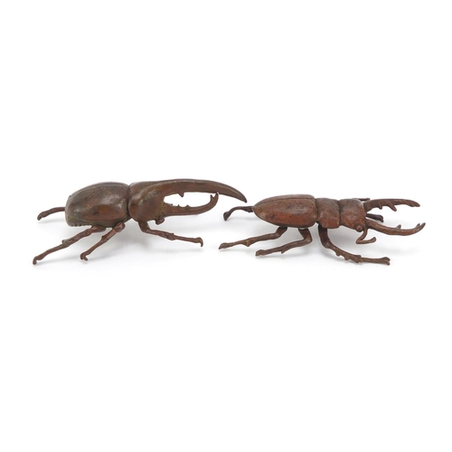 377 - Japanese patinated bronze Hercules beetle and stag beetle, each with impressed character marks to th... 