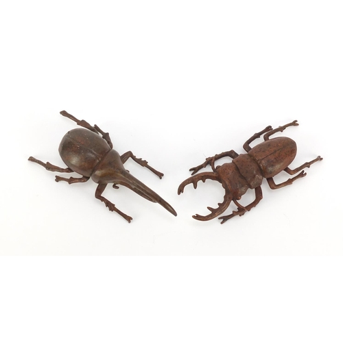 377 - Japanese patinated bronze Hercules beetle and stag beetle, each with impressed character marks to th... 