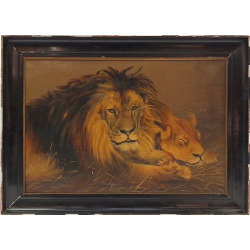 435 - Lion and lioness, late 19th/early 20th century oil on canvas, bearing a signature J A Price, mounted... 