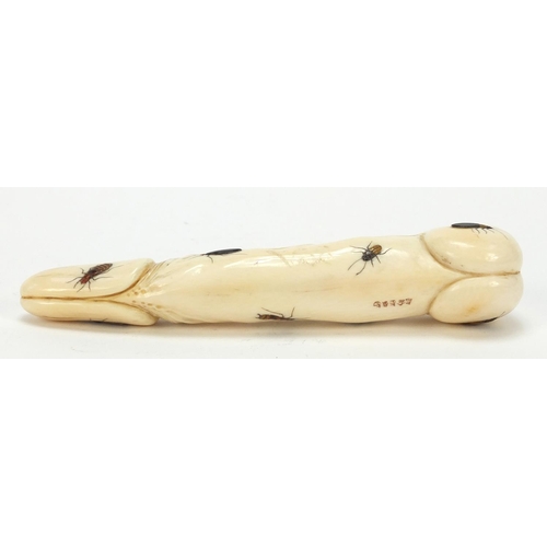 174 - Japanese Shibayama ivory phallus inlaid with insects carved with calligraphy, 16.5cm in length