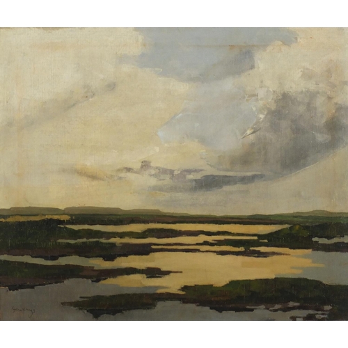 157 - Marsh Landscape, Continental school oil on canvas, mounted and framed, 58.5cm x 49.5cm