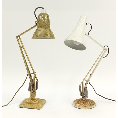 853 - Two vintage Anglepoise lamps including a gold coloured marbleised example by Herbert Terry & Sons