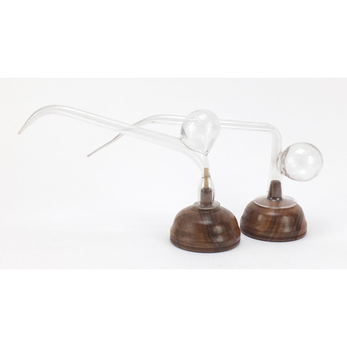 901 - Two clear glass oral breast pumps mounted on turned wooden bases, the largest 32cm in length