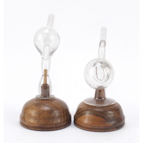 901 - Two clear glass oral breast pumps mounted on turned wooden bases, the largest 32cm in length