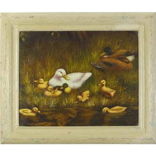 354 - Ducks by a river, oil on board, bearing a signature C Simpson, framed, 49.5cm x 40cm excluding the f... 