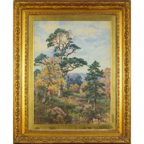 76 - Landscape with trees, 19th century watercolour, part label verso, mounted, framed and glazed, 58.5cm... 