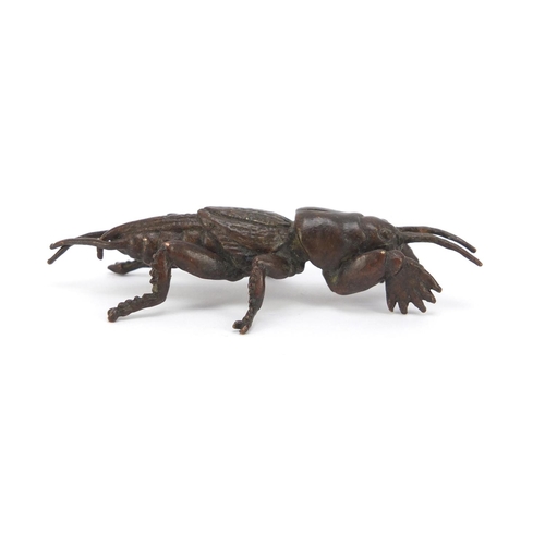 1994 - Japanese patinated bronze insect, impressed character marks to the underside, 7cm in length