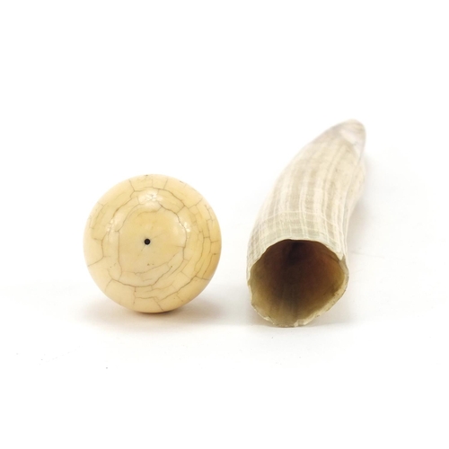 416 - Ivory walrus tooth and a billard ball, the largest 27cm in length