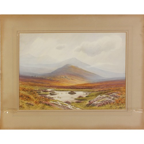 514 - W J Gibbs 1932 - Mountainous landscape, watercolour, mounted, unframed, 45cm x 33cm