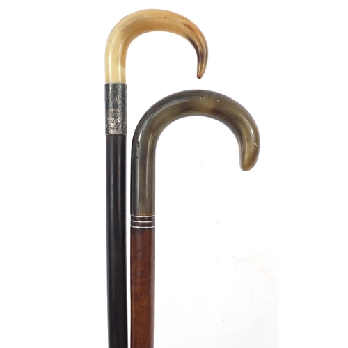 1991 - Edwardian malacca and ebonised walking sticks with horn handles, one with with silver collar, Cheste... 