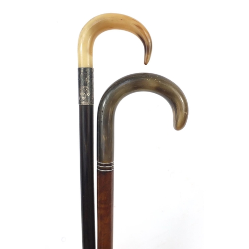 1991 - Edwardian malacca and ebonised walking sticks with horn handles, one with with silver collar, Cheste... 