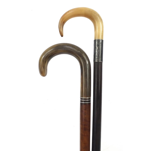 1991 - Edwardian malacca and ebonised walking sticks with horn handles, one with with silver collar, Cheste... 