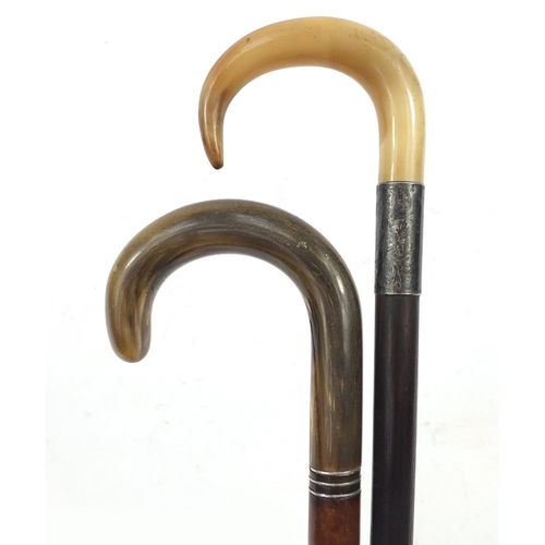 1991 - Edwardian malacca and ebonised walking sticks with horn handles, one with with silver collar, Cheste... 