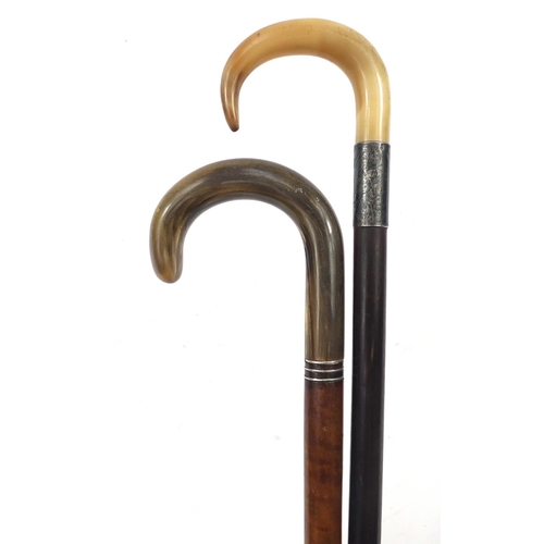 1991 - Edwardian malacca and ebonised walking sticks with horn handles, one with with silver collar, Cheste... 