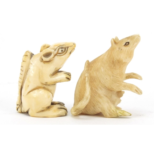 449 - Two Japanese carved ivory rats including a Netsuke, the largest 3.5cm high