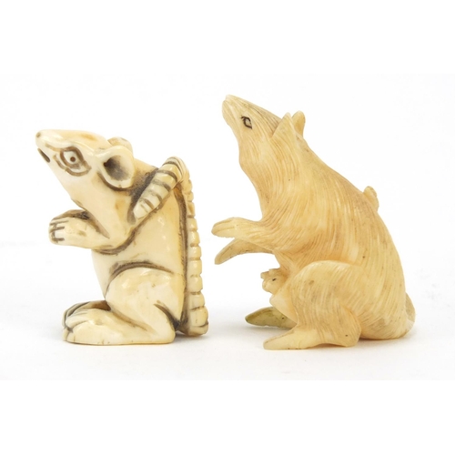 449 - Two Japanese carved ivory rats including a Netsuke, the largest 3.5cm high