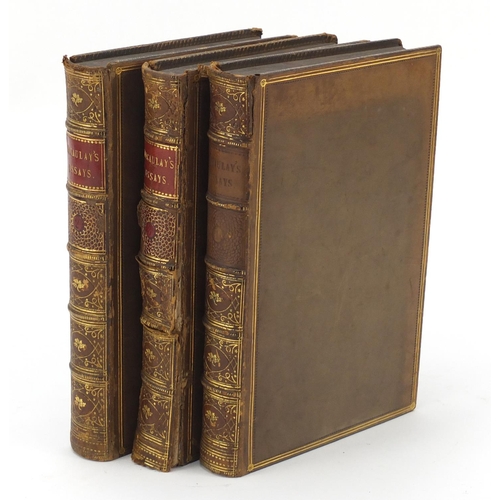 503 - Critical and Historical Essays by Thomas Barrington Macaulay, three mid 19th century leather bound h... 