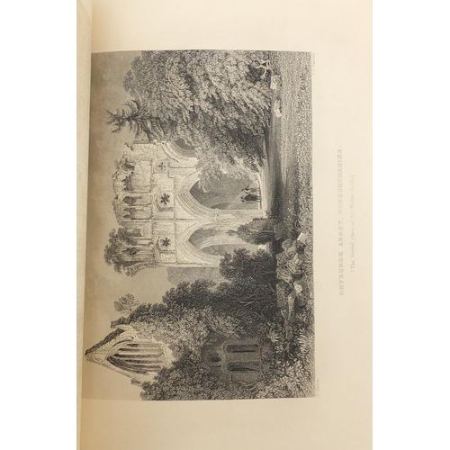 502 - The Complete Works of Robert Burns and Poetical Works of Sir Walter Scott, two 19th century leather ... 