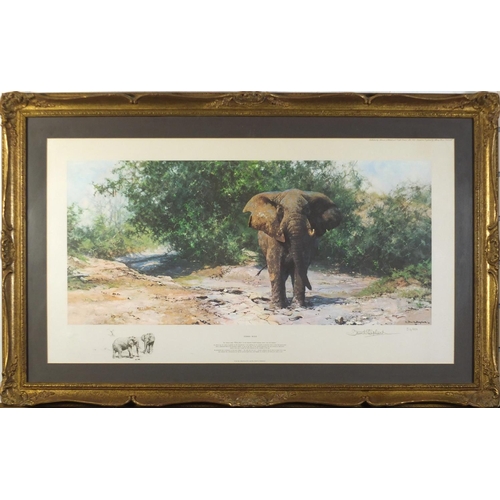 204 - David Shepherd - Tembo Mzee, pencil signed print in colour, limited edition 513/850, mounted, framed... 