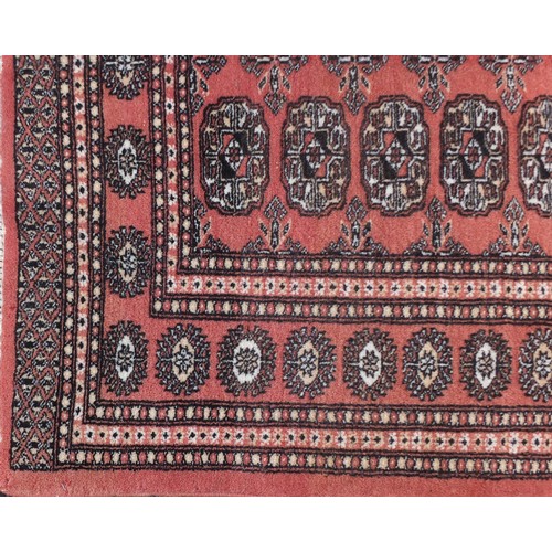 1315 - Pakistan wool rug with geometric design onto a salmon ground, 152cm x 100cm