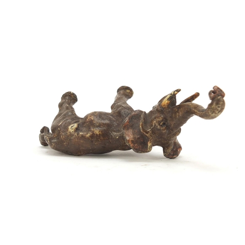 151 - Cold painted bronze of an elephant in the style of Franz Xaver Bergmann, 9.5cm in length