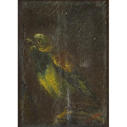 107 - Songbird, 18th century Dutch school oil on canvas, mounted and framed, 13cm x 9.5cm excluding the mo... 