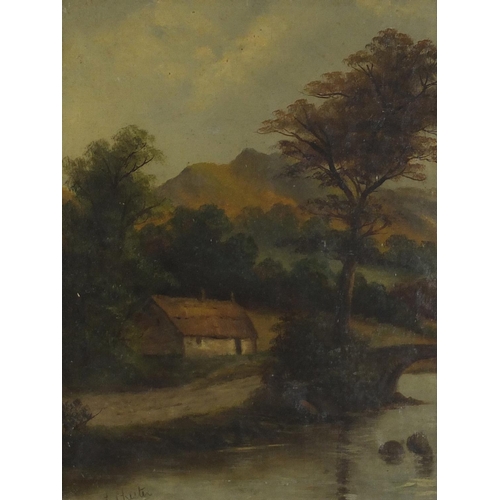 501 - E Chester - Rural landscape with thatched cottage beside a stream, 19th century oil on canvas, frame... 