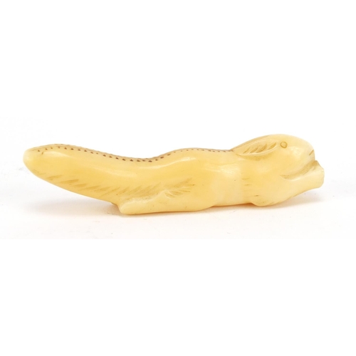 316 - Inuit carved ivory amulet in the form of a squirrel, 6.5cm in length