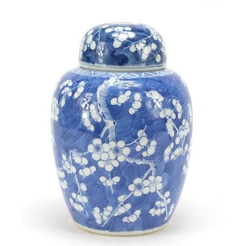40 - Chinese blue and white porcelain ginger jar and cover, hand painted with prunus flowers, six figure ... 